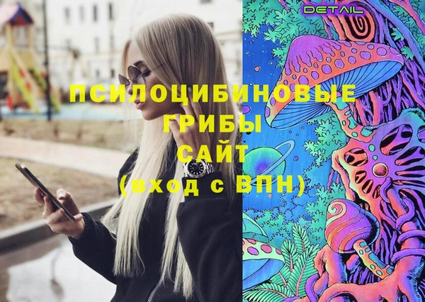 стаф Богданович